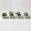 plantje in potje + label